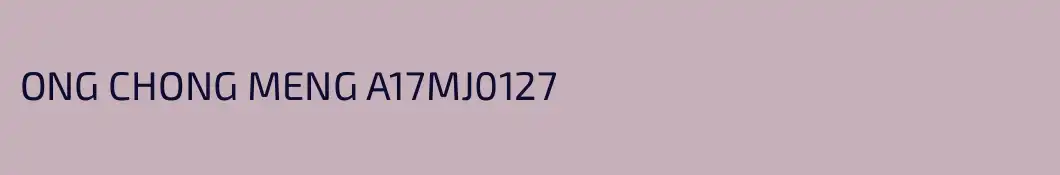 ONG CHONG MENG A17MJ0127